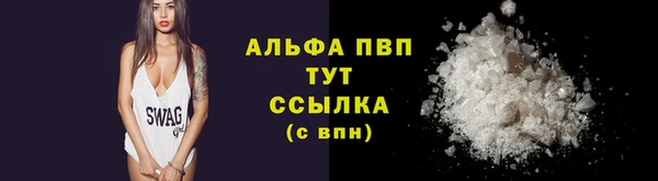 стафф Богородицк