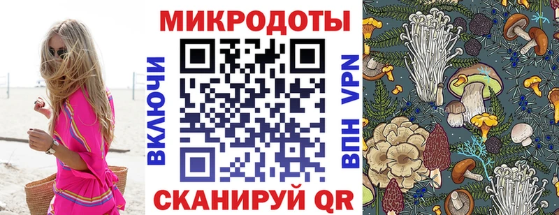 мориарти формула  Медногорск  Псилоцибиновые грибы Psilocybine cubensis 