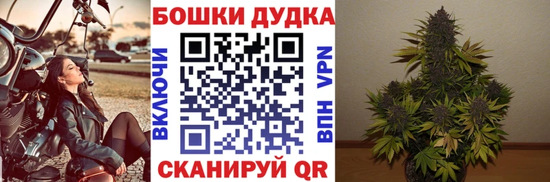 маркетплейс клад  Медногорск  МАРИХУАНА SATIVA & INDICA 